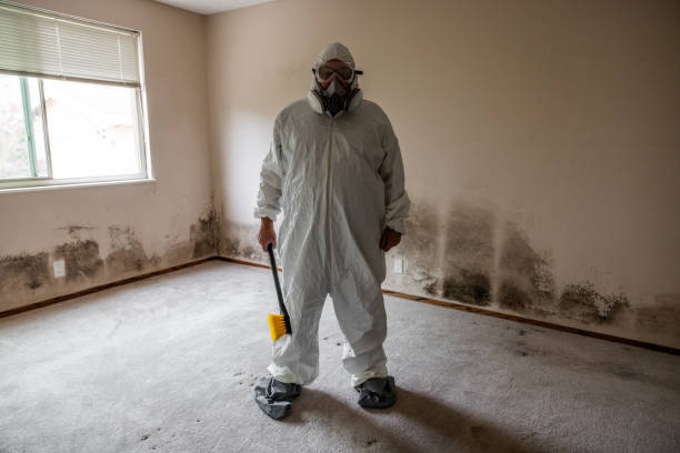 Reliable Saratoga Springs, NY Mold Inspection, Removal & Remediation Solutions